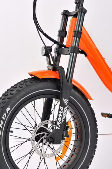 Cargo MID Motor High Power E Trike 3 Rodas Triciclo Elétrico Adulto Personalizado