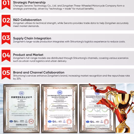 Triciclo de passageiros adulto riquixá elétrico de fábrica na China